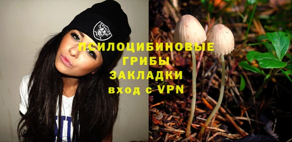 твердый Абинск