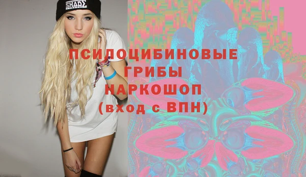 бошки Осинники