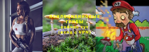 твердый Абинск