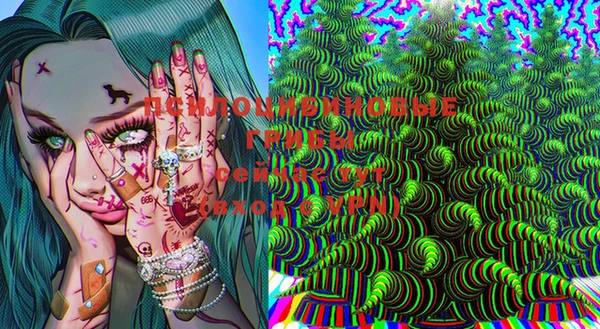 бошки Осинники