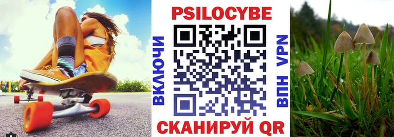 Галлюциногенные грибы Psilocybe  Торопец 